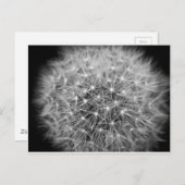 Pusteblume Postkarte (Vorne/Hinten)