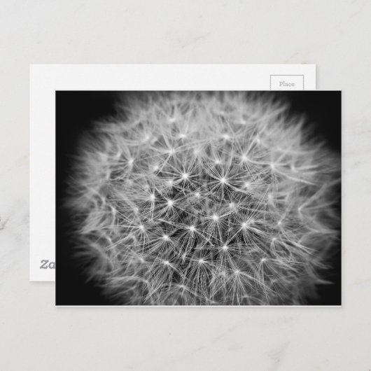 Pusteblume Postkarte (Vorne/Hinten)