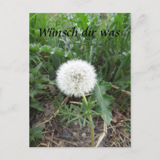 Pusteblume Postkarte