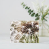 Pusteblume Postkarte (Stehend Vorderseite)