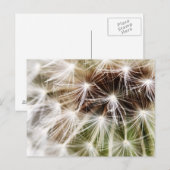 Pusteblume Postkarte (Vorne/Hinten)