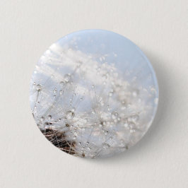 Pusteblumen Löwenzahn Himmelblau Fotografie Button