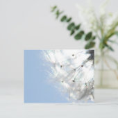 Pusteblumen Löwenzahn Himmelblau Fotografie Postkarte (Stehend Vorderseite)