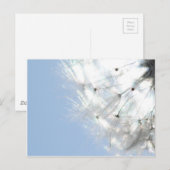 Pusteblumen Löwenzahn Himmelblau Fotografie Postkarte (Vorne/Hinten)