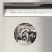 Pustertal-Kuh Magnet (In Situ (Geschirrspüler))