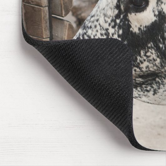 Pustertal-Kuh Mousepad (Ecke)