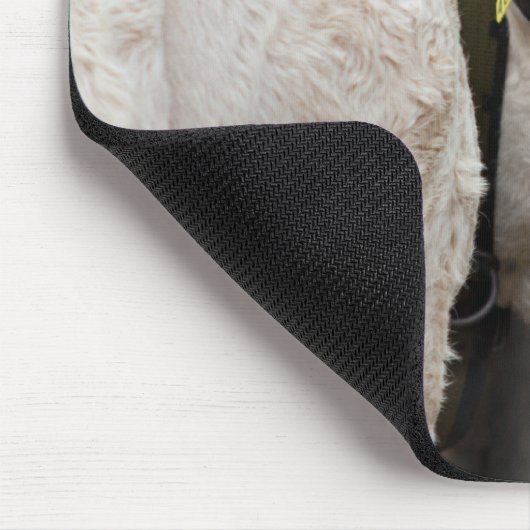 Pustertal Pied Calf Mousepad (Ecke)