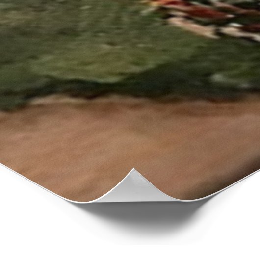 "Put-in-Bay Winery" von Willowcatdesigns Poster (Ecke)