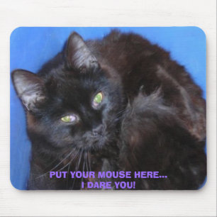 PUT YOUR MOUSE HERE... I DARE YOU! CHOCOLATE CAT MOUSEPAD