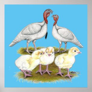 Puten-Mini-Weiß-Familie Poster