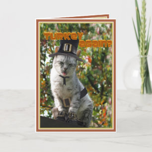 PUTERKEH wieder? Thanksgiving Pilgerkatze Feiertagskarte