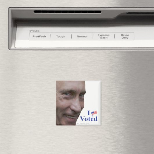 Putin wählt magnet (In Situ (Geschirrspüler))