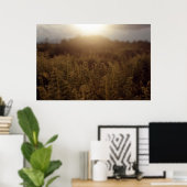 Putney Mountain Sunset Poster (Heimbüro)