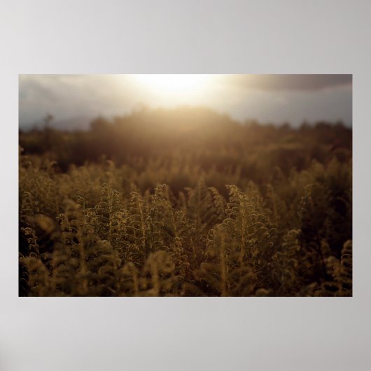 Putney Mountain Sunset Poster (Vorne)