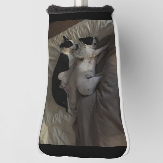 Putterabdeckung Golf Headcover (Rotieren 90)