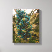 Puya Berteroniana #1 Leinwand (Vorderseite)