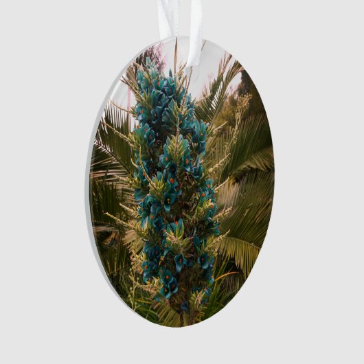 Puya Berteroniana #1 Ornament (Vorderseite)