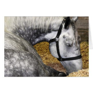 Puyallup angemessene Pferde12x18 Karte