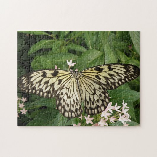 Puzzle (Horizontal)