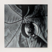 Puzzle (Horizontal)