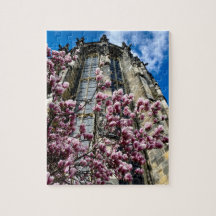 Puzzle Aachen Dom Magnolie