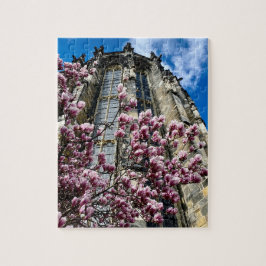 Puzzle Aachen Dom Magnolie