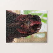 Puzzle - Angry Chicken (Horizontal)