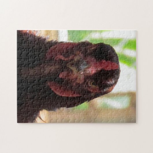 Puzzle - Angry Chicken (Horizontal)