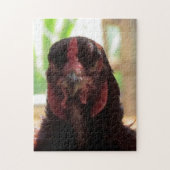 Puzzle - Angry Chicken (Vertikal)