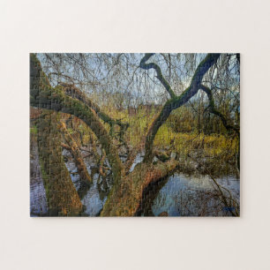 Puzzle “Árboles del agua – Parque en Ámsterdam”