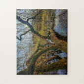 Puzzle “Árboles del agua – Parque en Ámsterdam” (Vertikal)