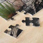 Puzzle Arena (Seite)