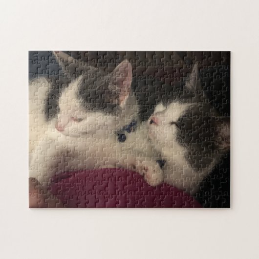 Puzzle aus 252 Stück (Horizontal)