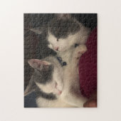 Puzzle aus 252 Stück (Vertikal)