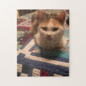 Puzzle aus 252 Stück (Vertikal)