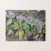 Puzzle aus 252 Stück (Horizontal)