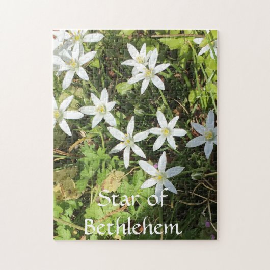 Puzzle aus 252 Stück (Vertikal)