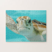 Puzzle aus Meerschildkröten (Horizontal)