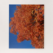 Puzzle aus Orangenbäumen (Vertikal)