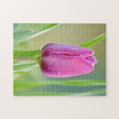 Puzzle aus Pink-Tulpen (Horizontal)