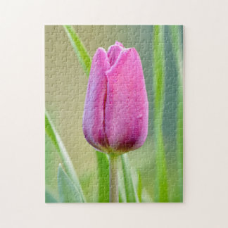 Puzzle aus Pink-Tulpen