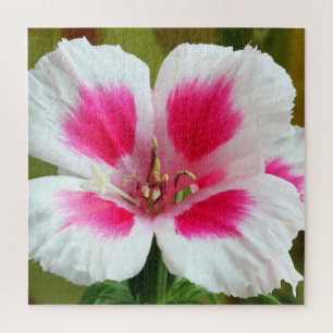 Puzzle aus Pink und Weiß Geranium