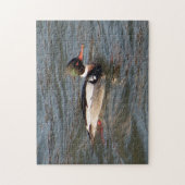 Puzzle aus Red Breasted Merganser (Vertikal)