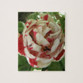 Puzzle aus rosa und weißem Tulip (Vertikal)