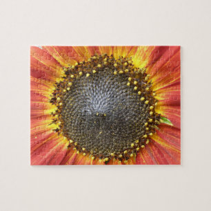 Puzzle aus roten und gelben Sonnenblumen
