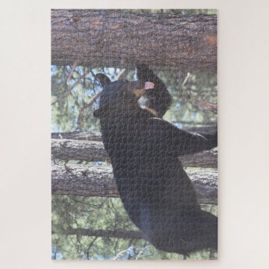 Puzzle aus schwarzem Bär, 20" x 30", 1014 Stück (Vertikal)
