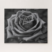 Puzzle aus schwarzem und weißem Rosenblumen (Horizontal)