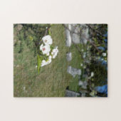 Puzzle aus weißem Foto (Horizontal)