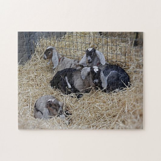 Puzzle Baby Goats (Horizontal)