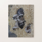 Puzzle Baby Goats (Vertikal)